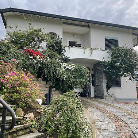 Domus 190 Rooms Varese Eksteriør billede